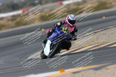 media/Jan-19-2024-Apex Assassins-CVMA Friday (Fri) [[74e94f2102]]/Trackday 1/Session 2 (Turn 11)/